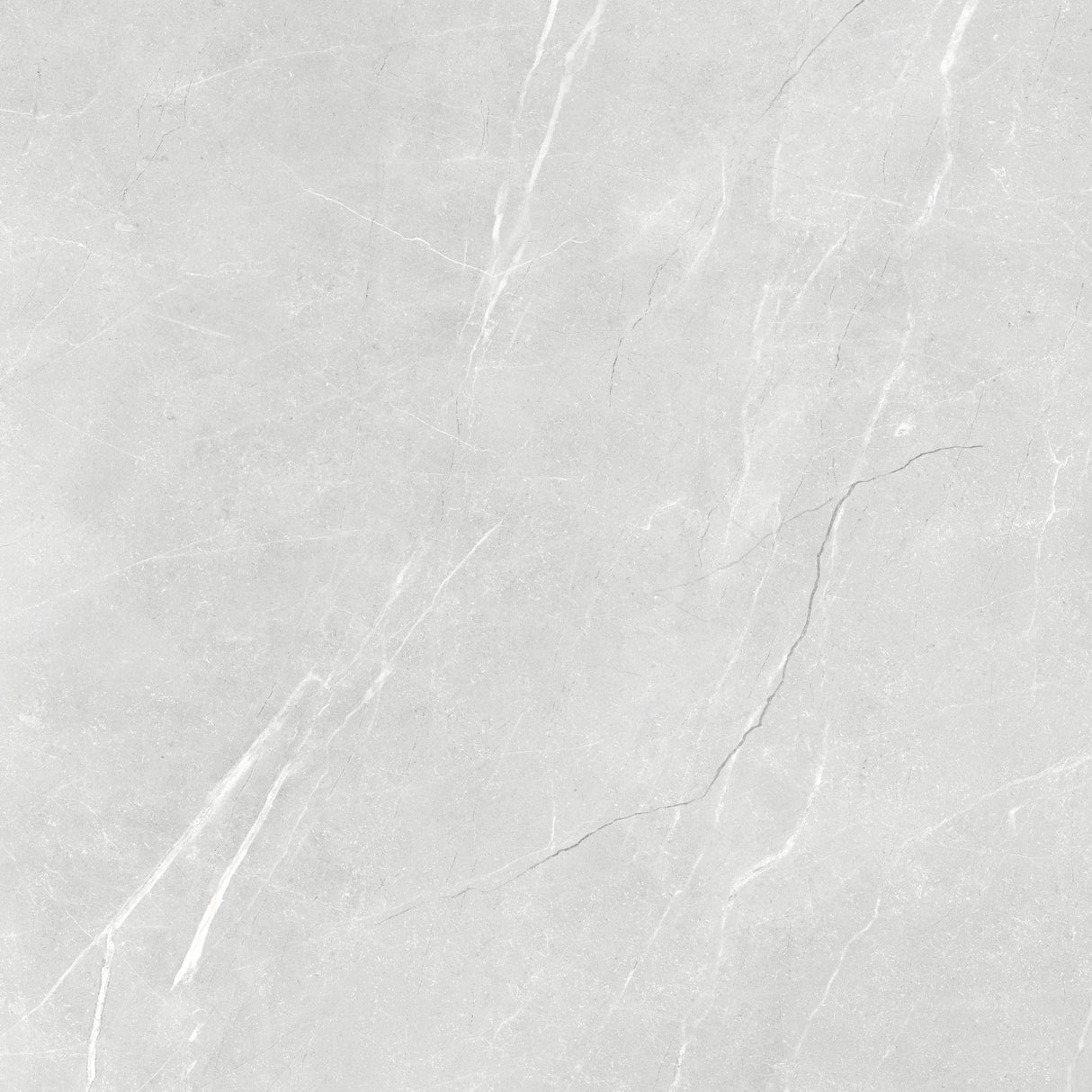 600x600mm Bosco Bianco Polished Tile