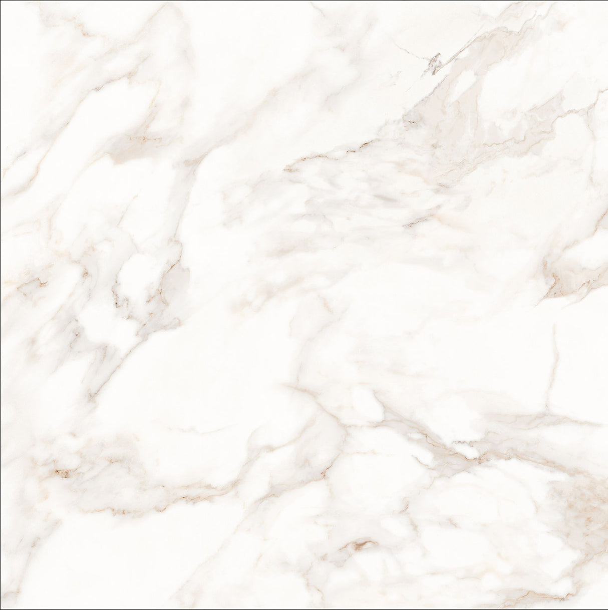 Tile-Calacatta