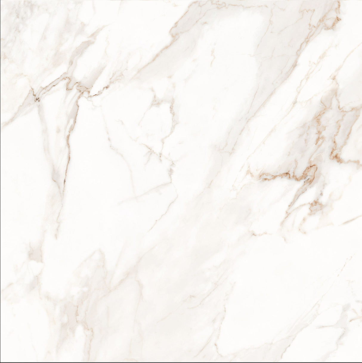 Tile-Calacatta
