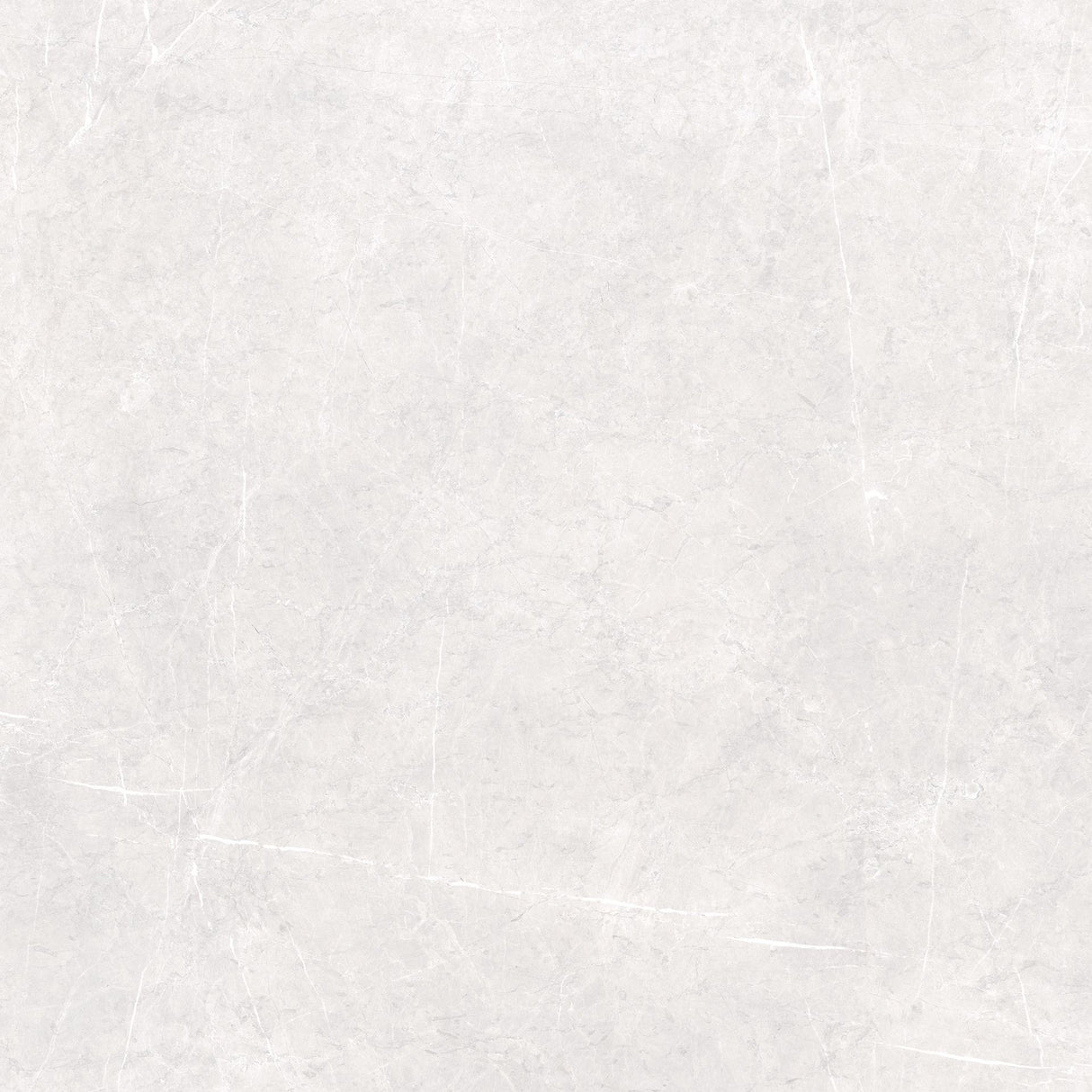 Tile-AU Visionaire Polished White