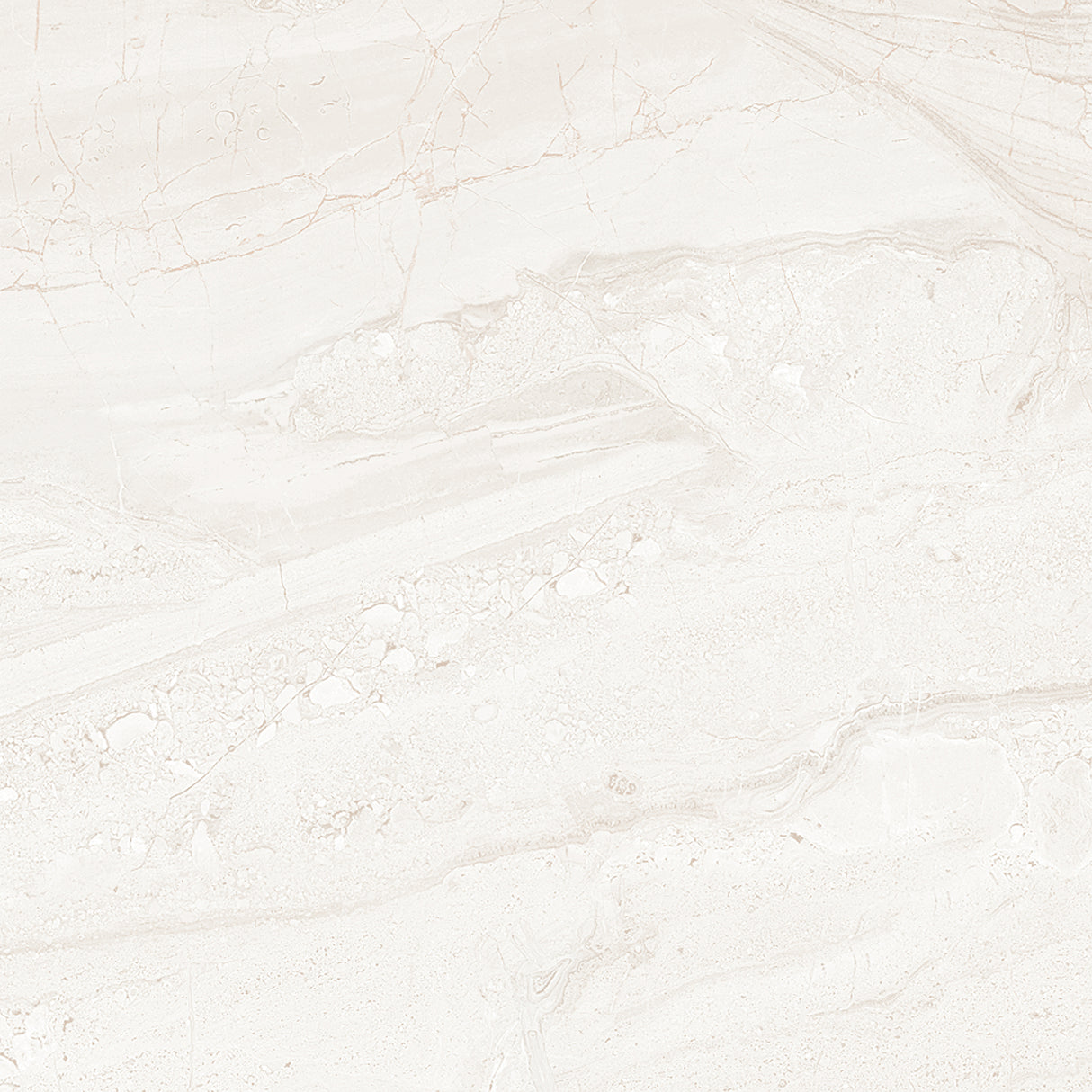 300x300 Dyna LF Plain (Random)