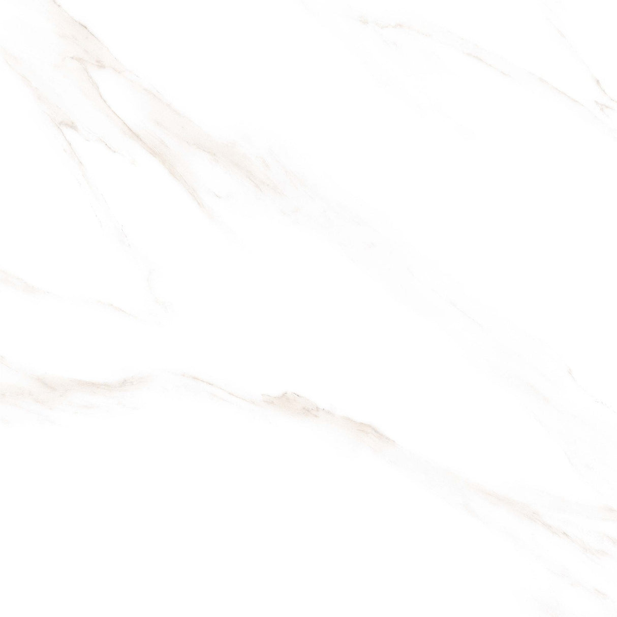 Tile 5001 Glossy 60x60