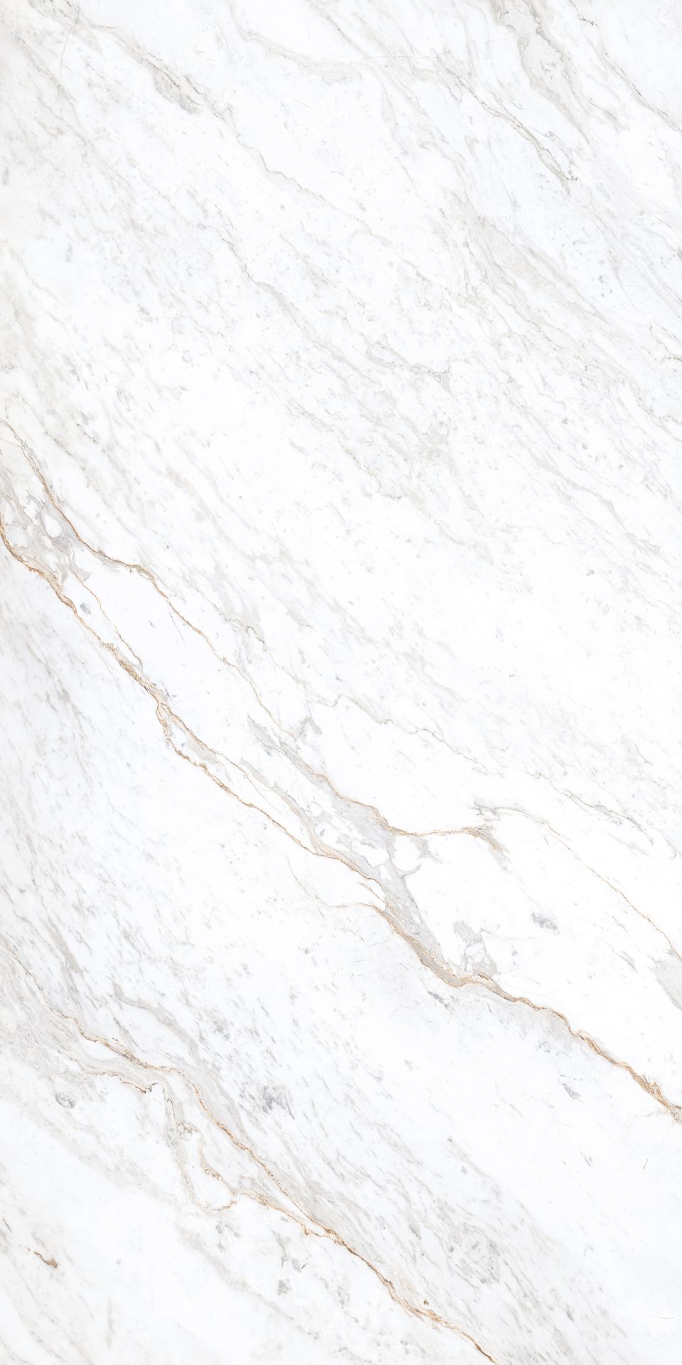 1600*800 Pgvt Cosmic Marble (High Glossy) (2,2.56)
