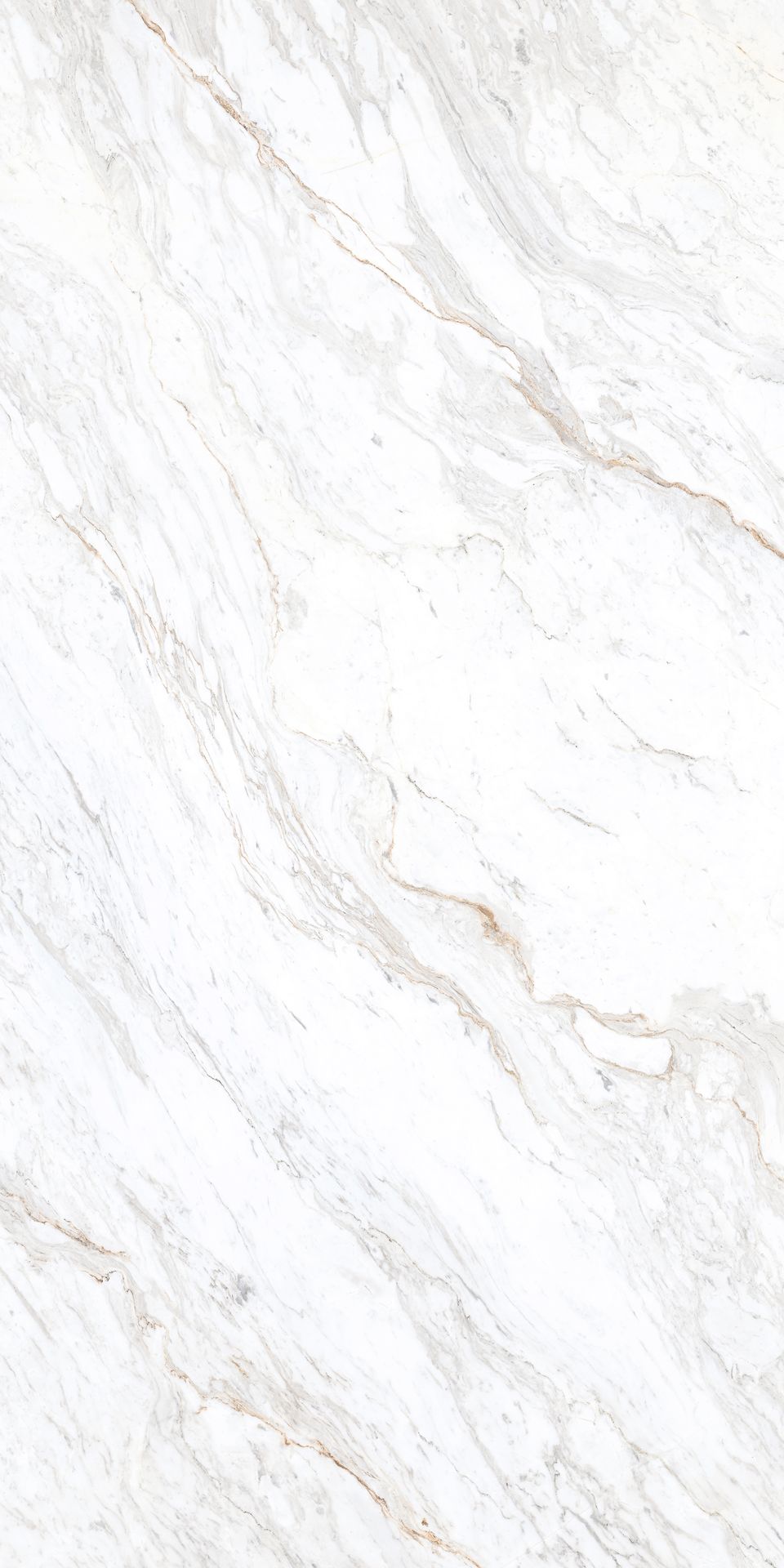1600*800 Pgvt Cosmic Marble (High Glossy) (2,2.56)
