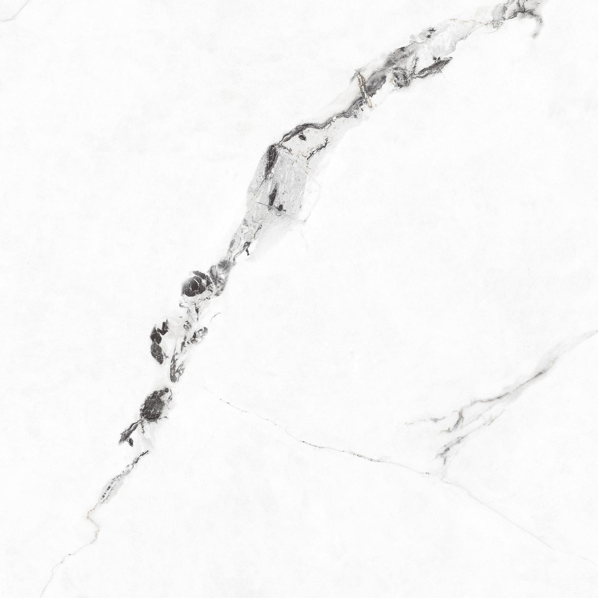 Tile Antico White Pgvt 60x60