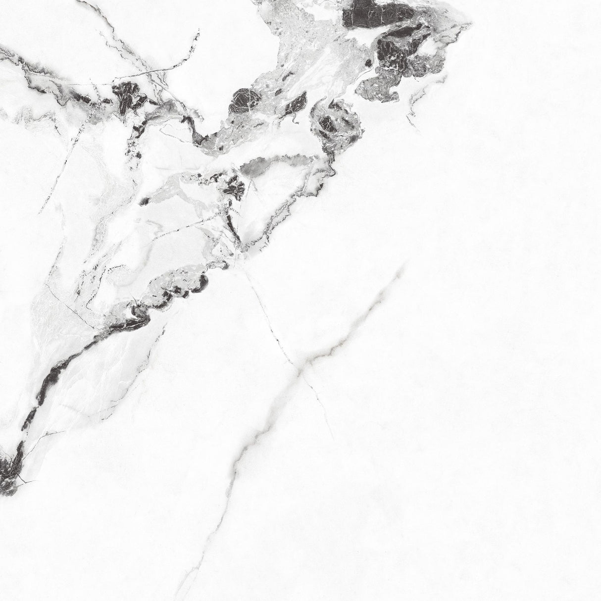 Tile Antico White Pgvt 60x60