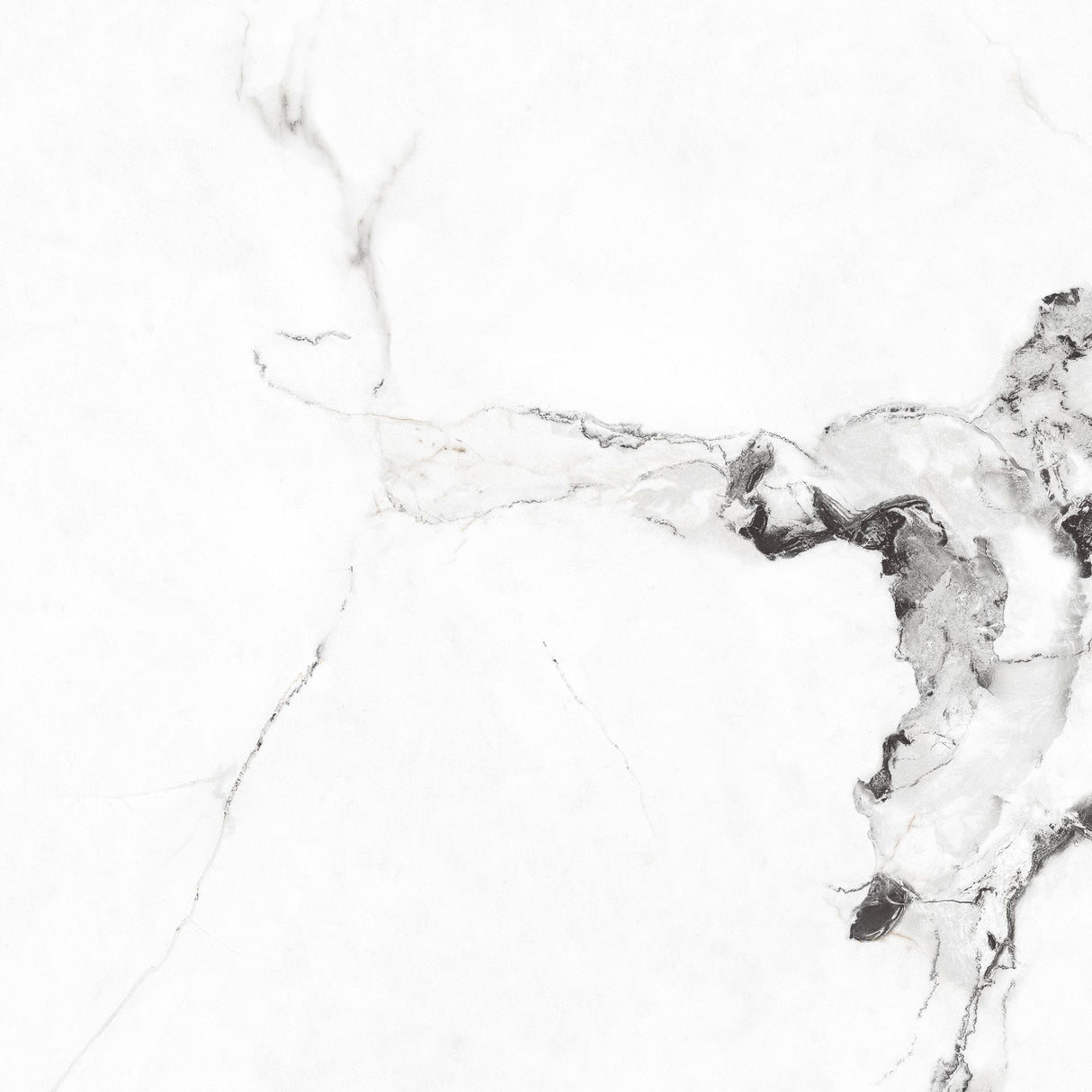 Tile Antico White Pgvt 60x60