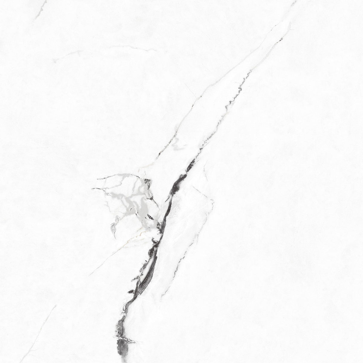 Tile Antico White Pgvt 60x60