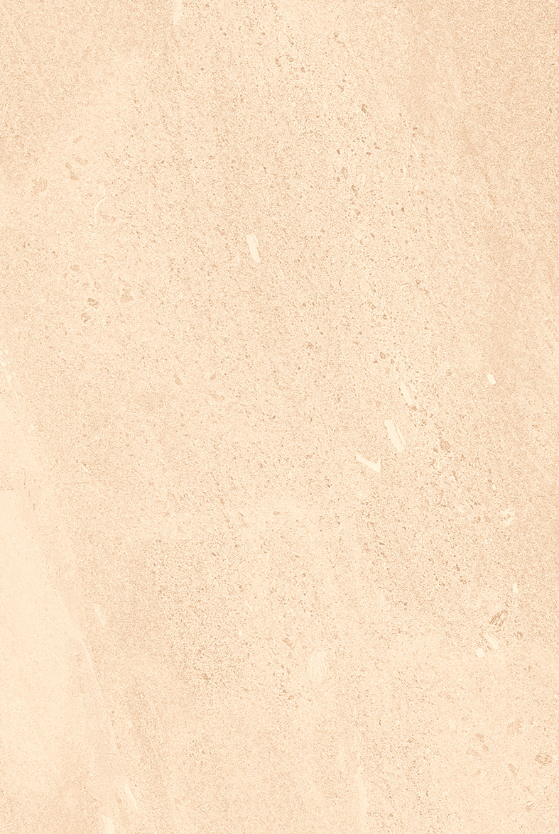 Tile Earthen Beige LV 20SP