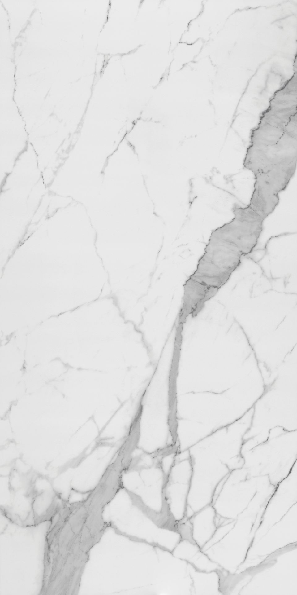 Artic View B 1600×800 Tile