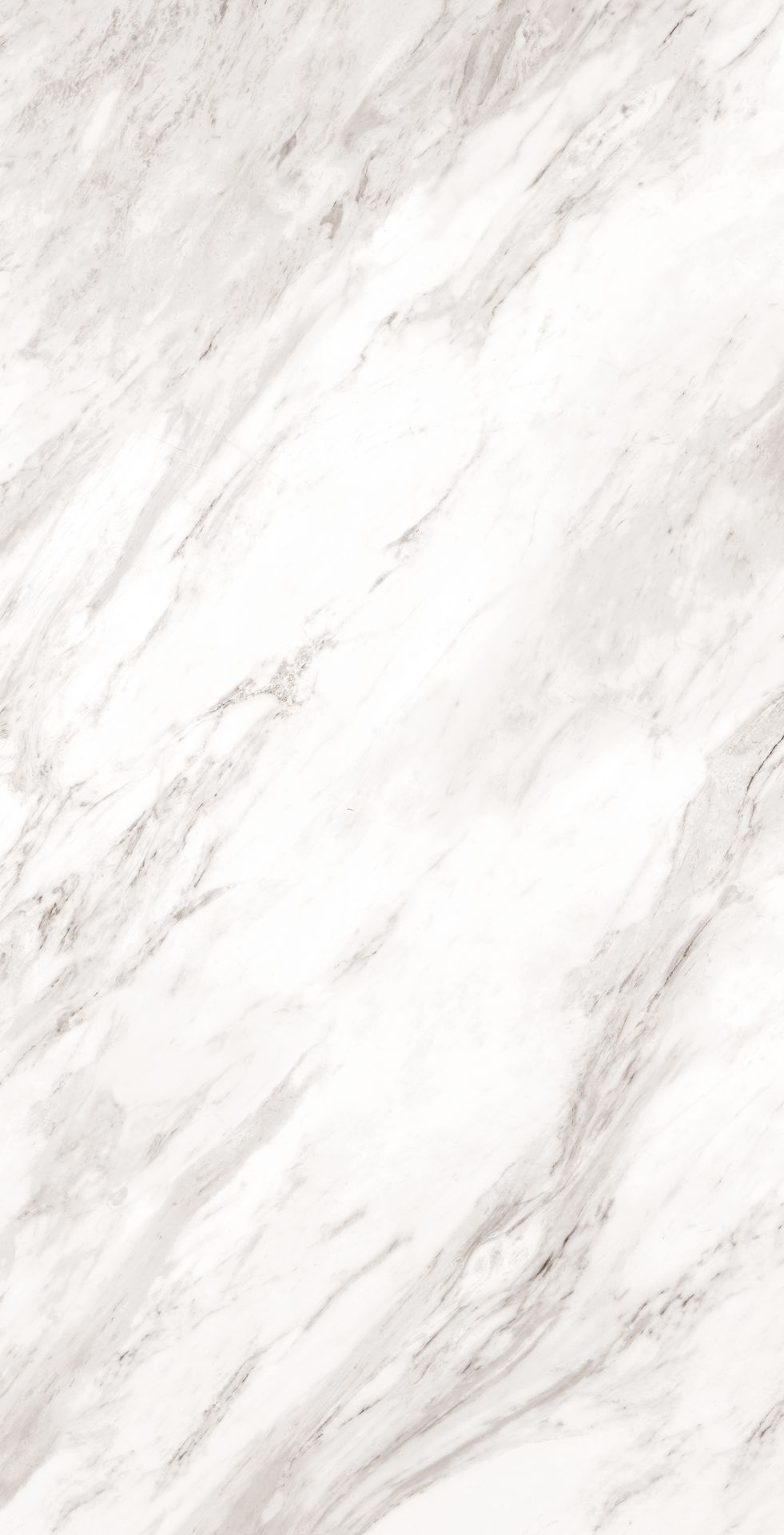 Carrara Face A Glossy Tile – 160×80 cm