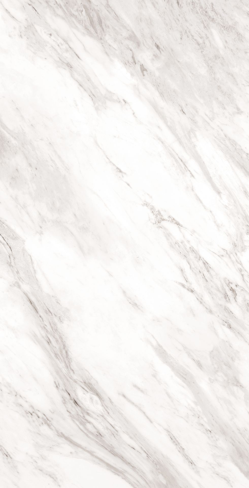 Carrara Face B Glossy Tile – 160×80 cm