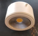 3911 Cylinder Surface Downlight