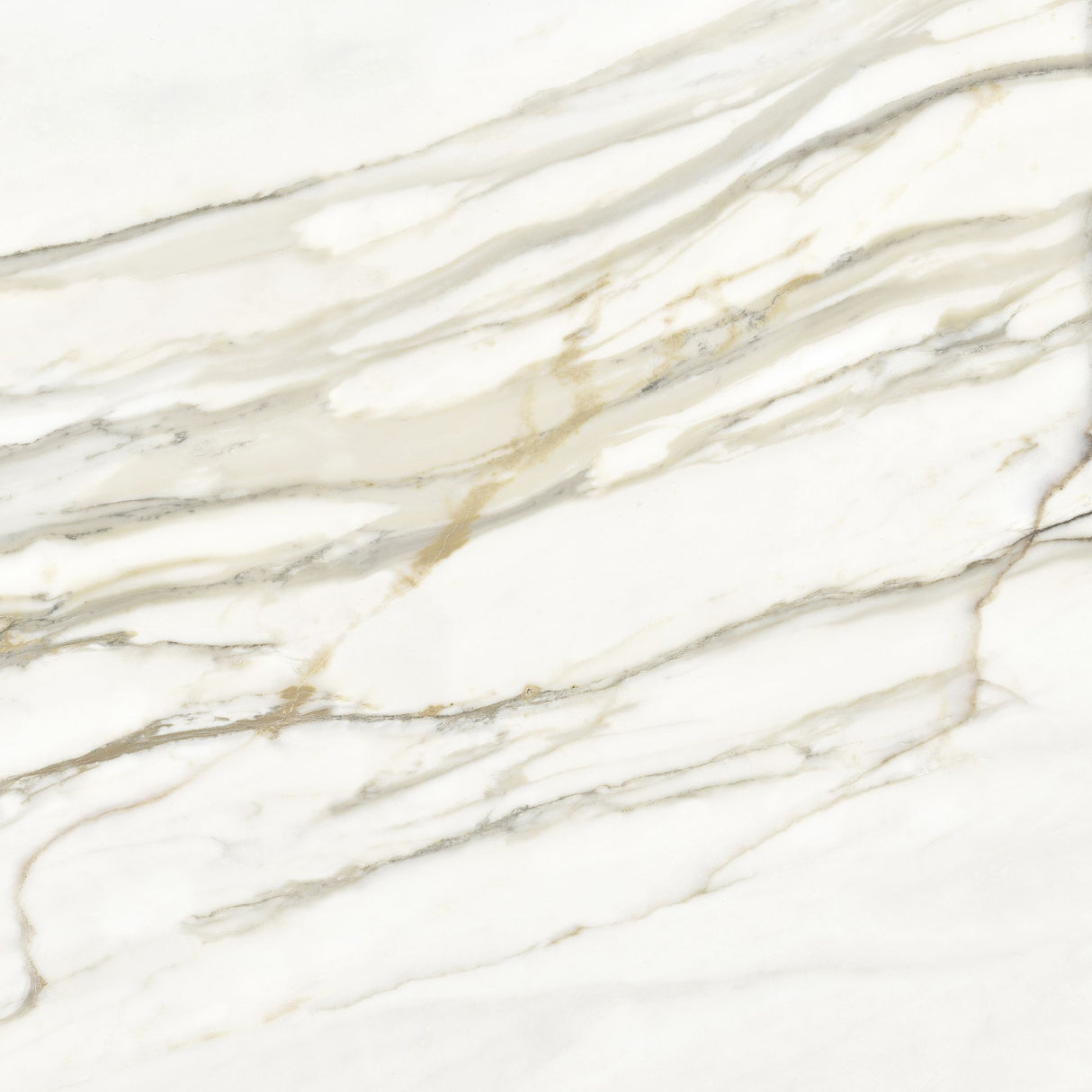 Tile-ARG. Venato Gold Polished Pul