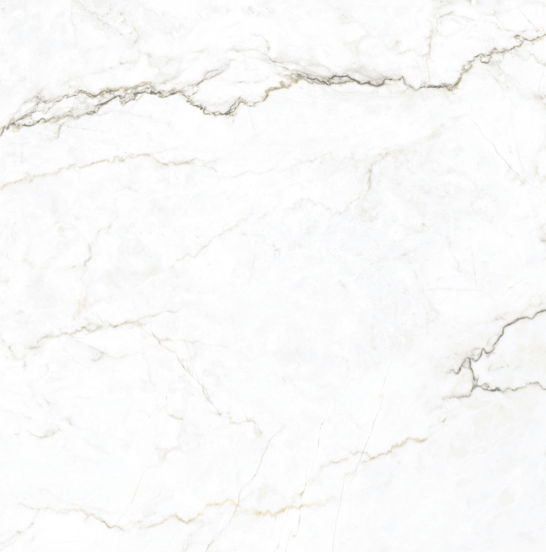 Tile-ARG Colbert White Polished Pul