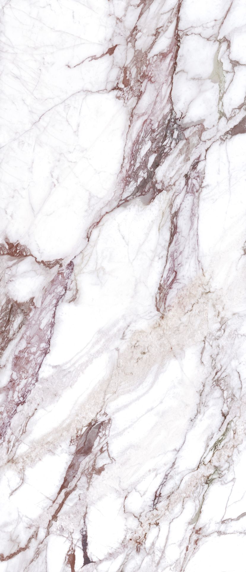 Tile-SCS Calacatta Rose (PG)