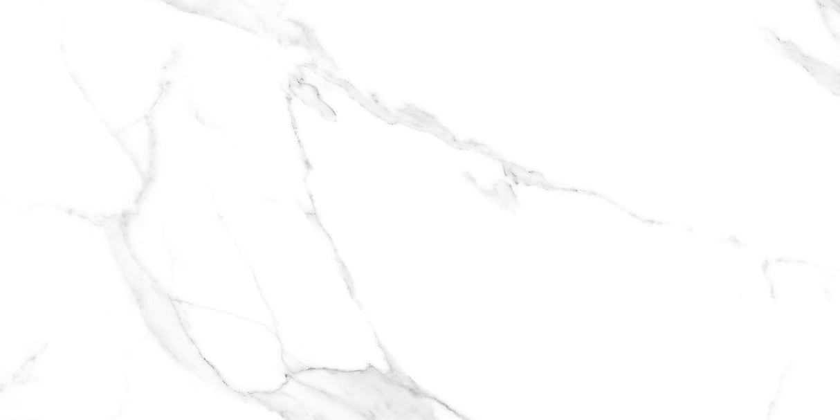 Tile- Pgvt Miami Bianco