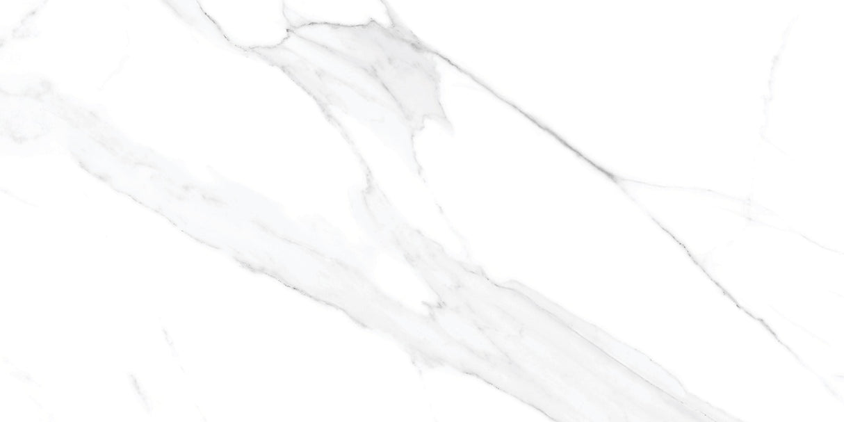 Tile- Pgvt Miami Bianco