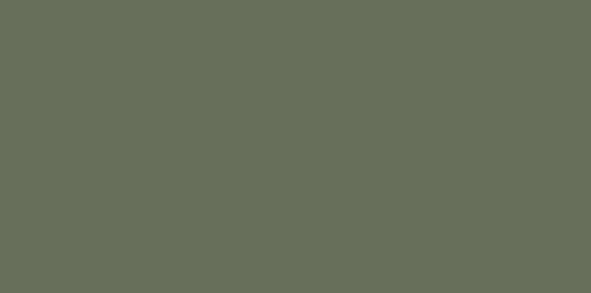 400×200 Decorative Wall Tile – Safari Green