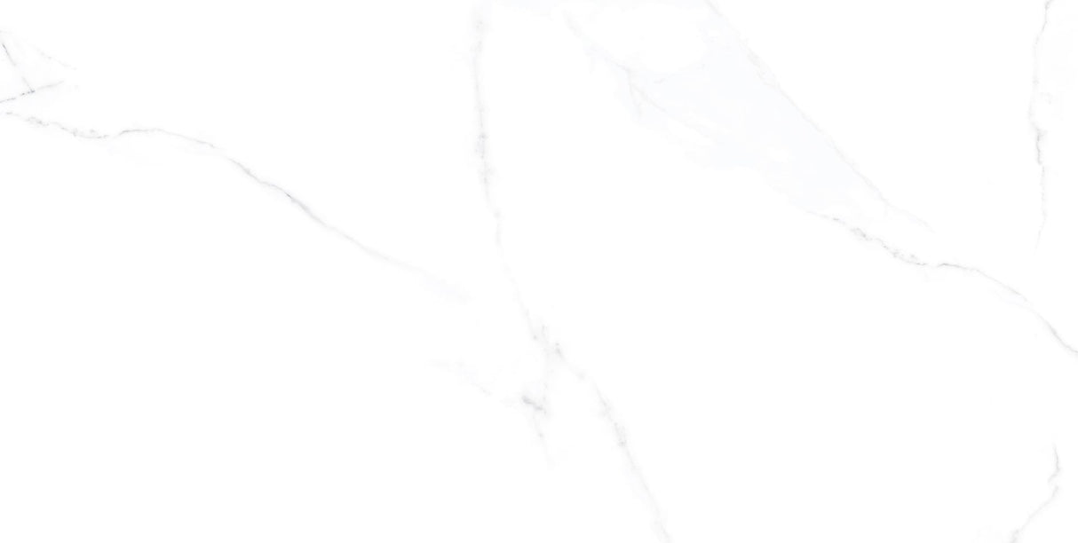 Tile-AU. Calacatta Polished White