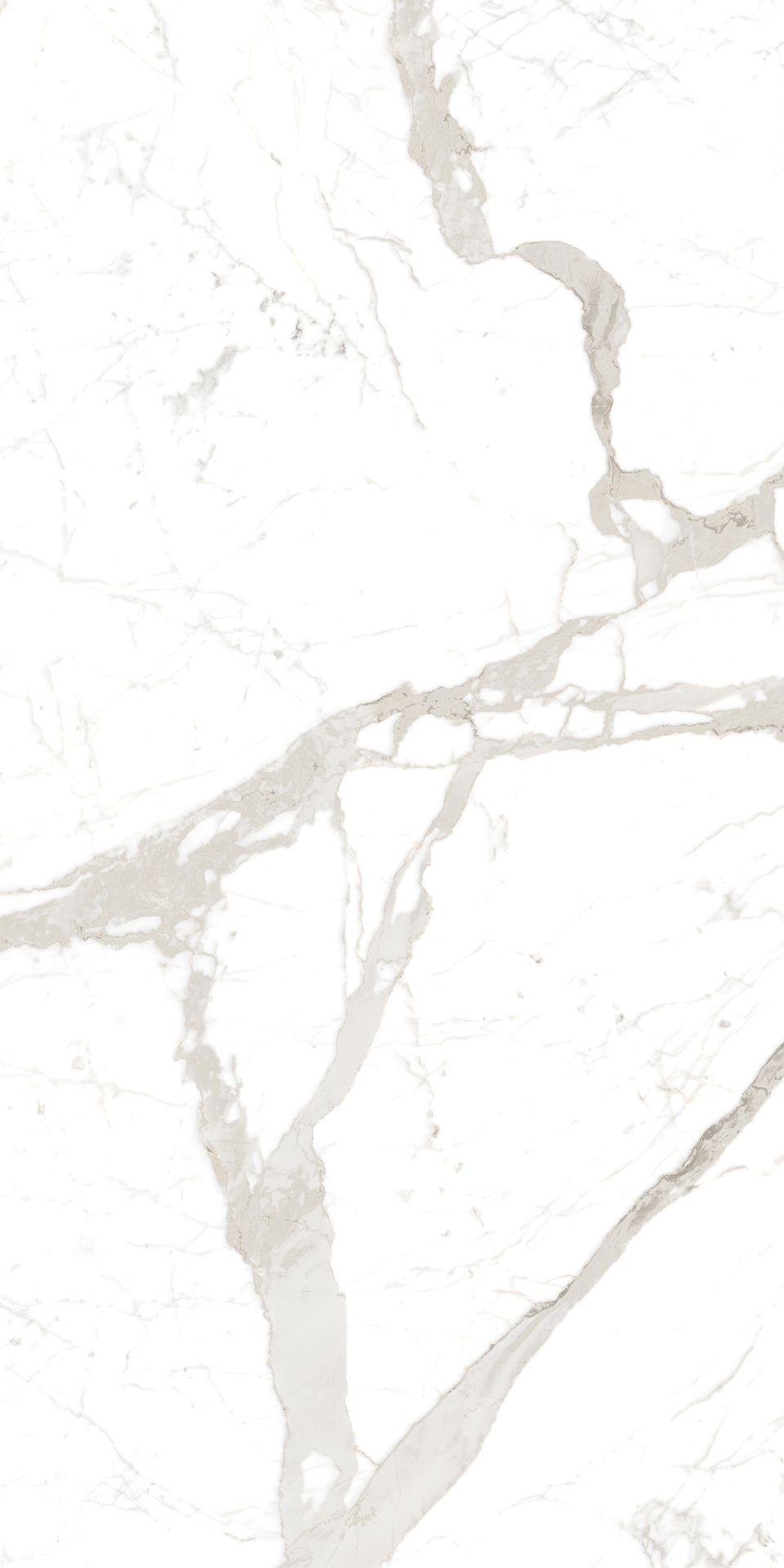 1600*800 Satuario Natural (2,2.56)