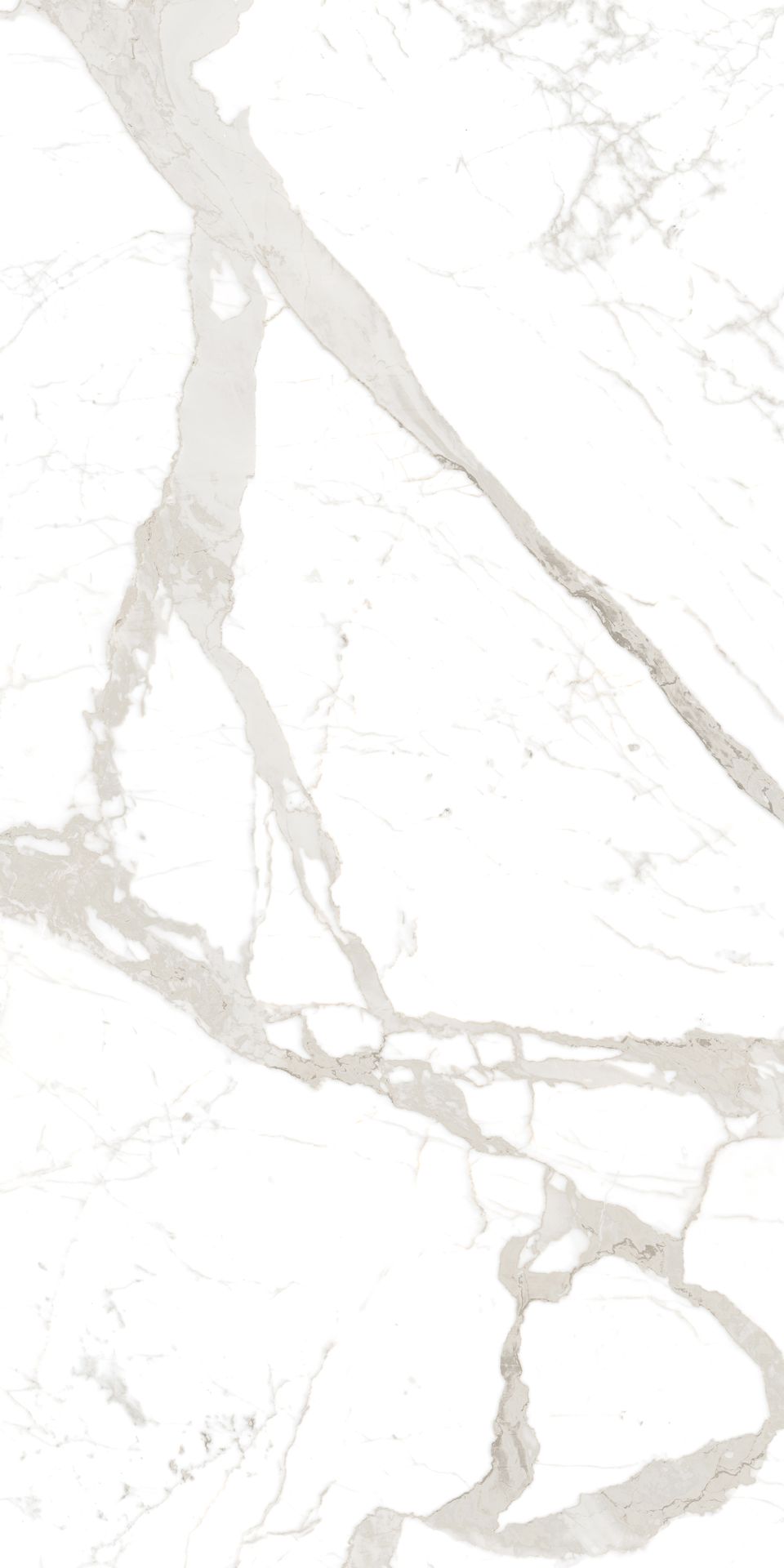 1600*800 Satuario Natural (2,2.56)