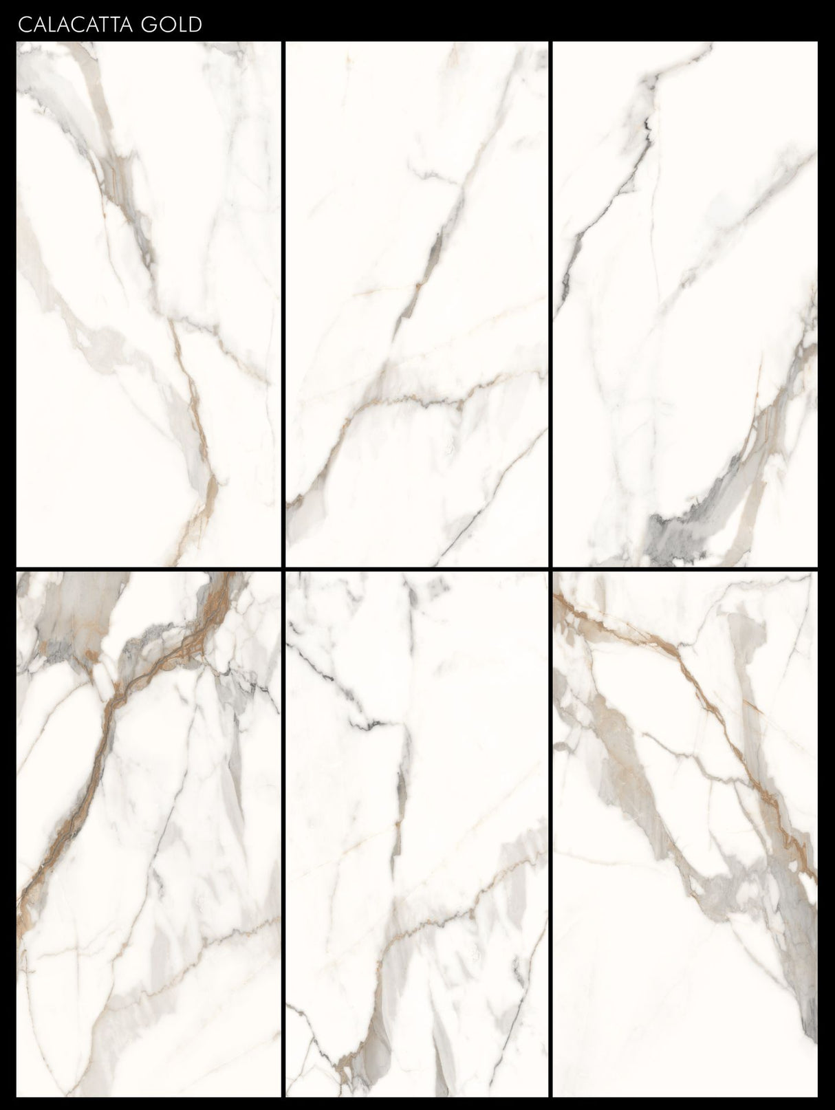 Tile Calacatta Gold Matt 60x60