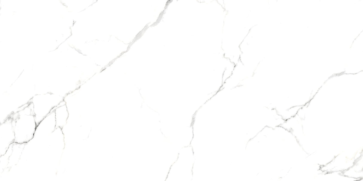 Tile-Milano Polished