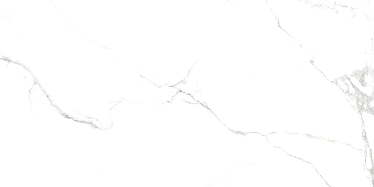 Tile-Milano Polished