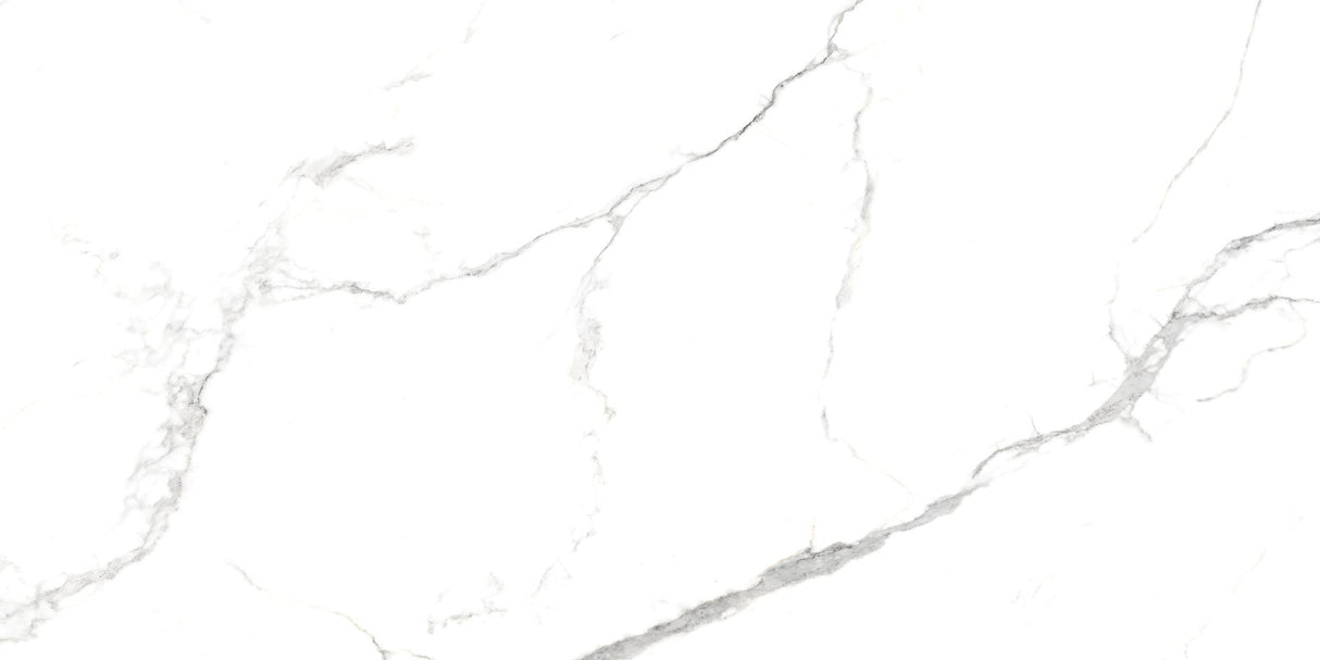 Tile-Milano Polished