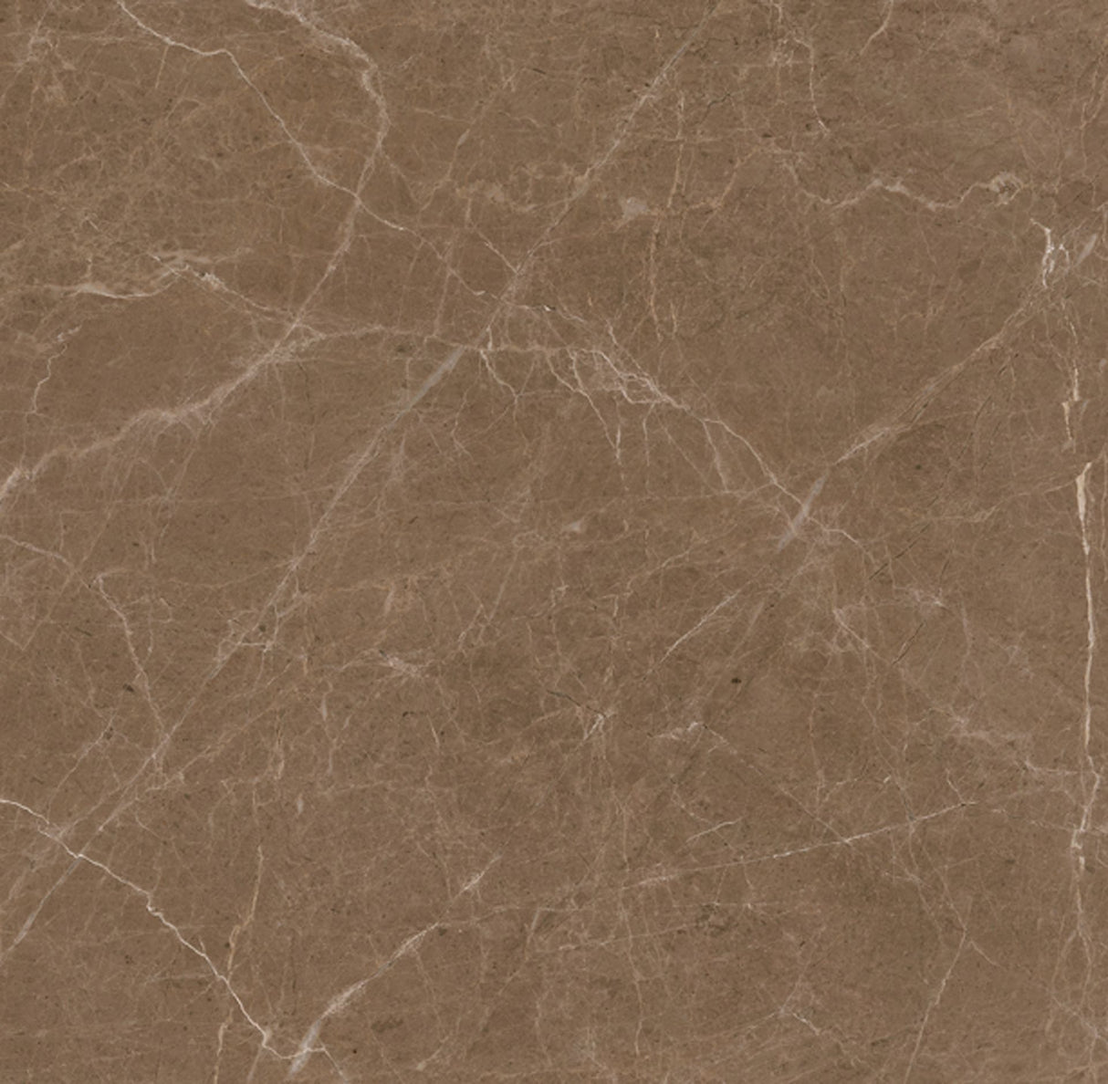 Tile Ebony Brown 600×600