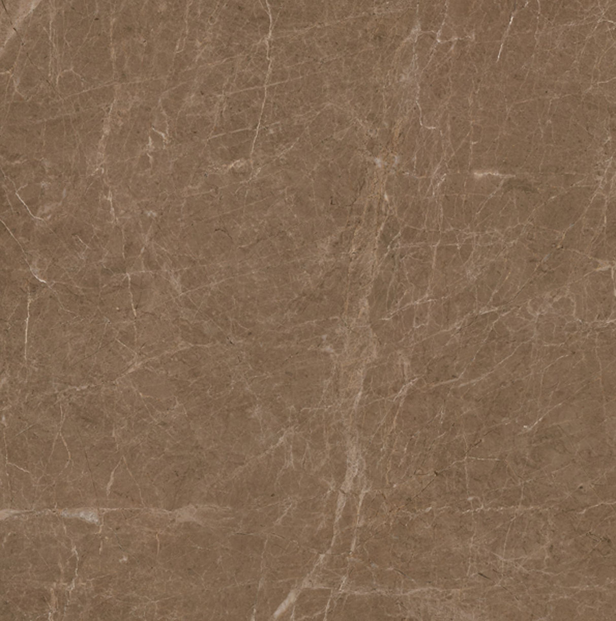 Tile Ebony Brown 600×600