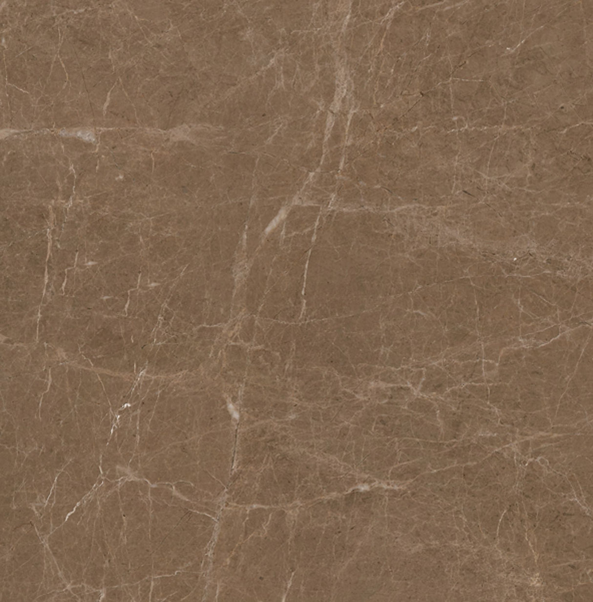 Tile Ebony Brown 600×600