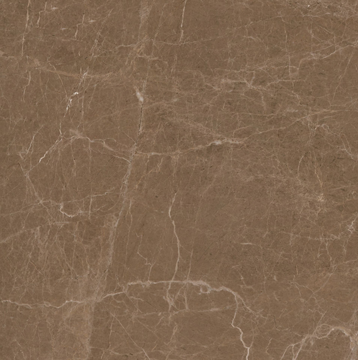 Tile Ebony Brown 600×600