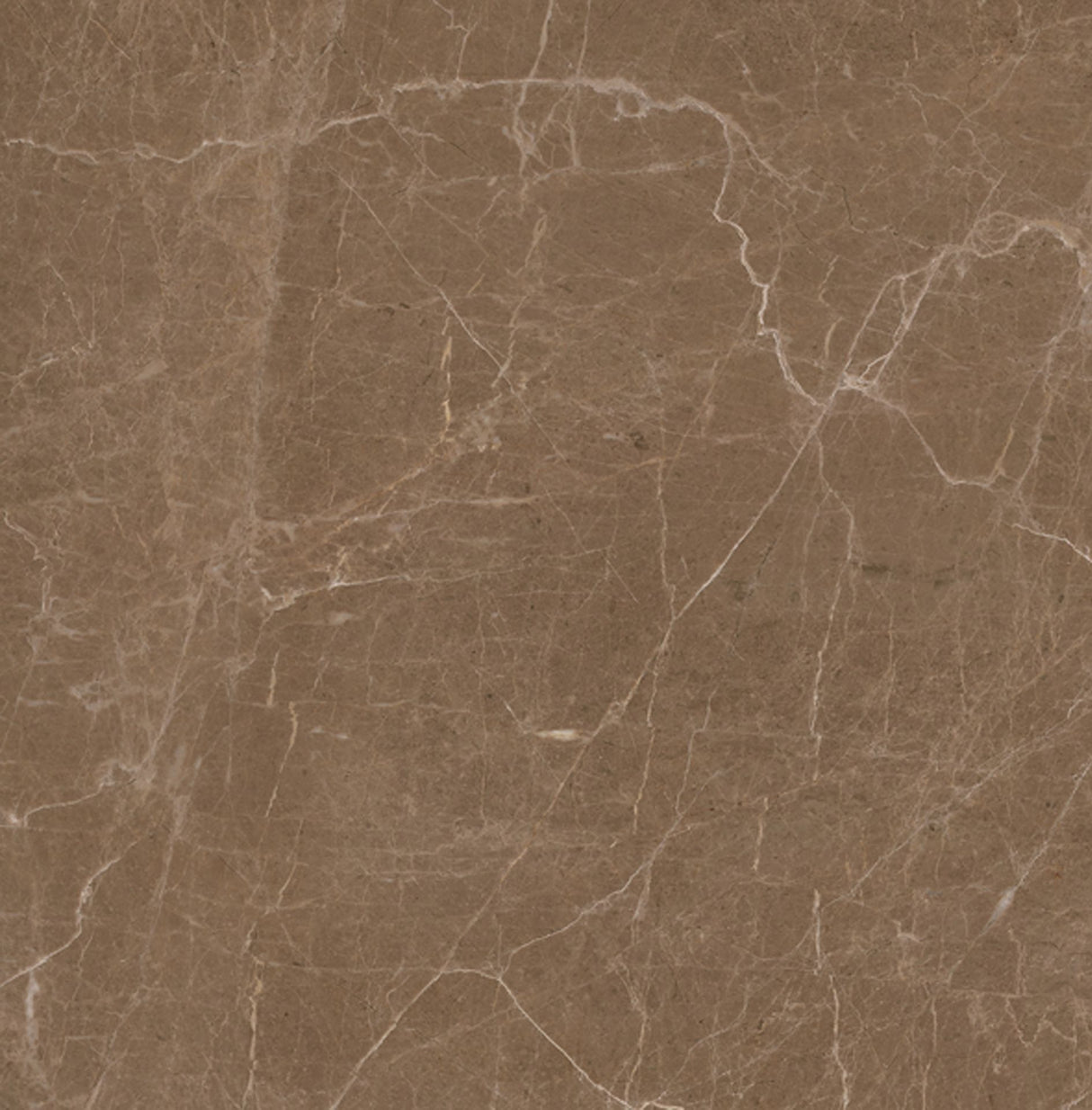 Tile Ebony Brown 600×600