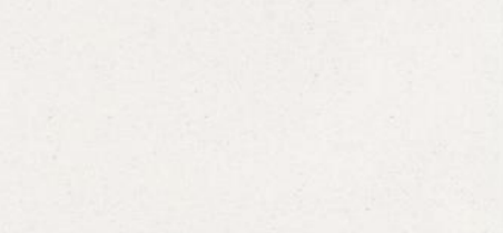 Tile-Raga White (Polished)
