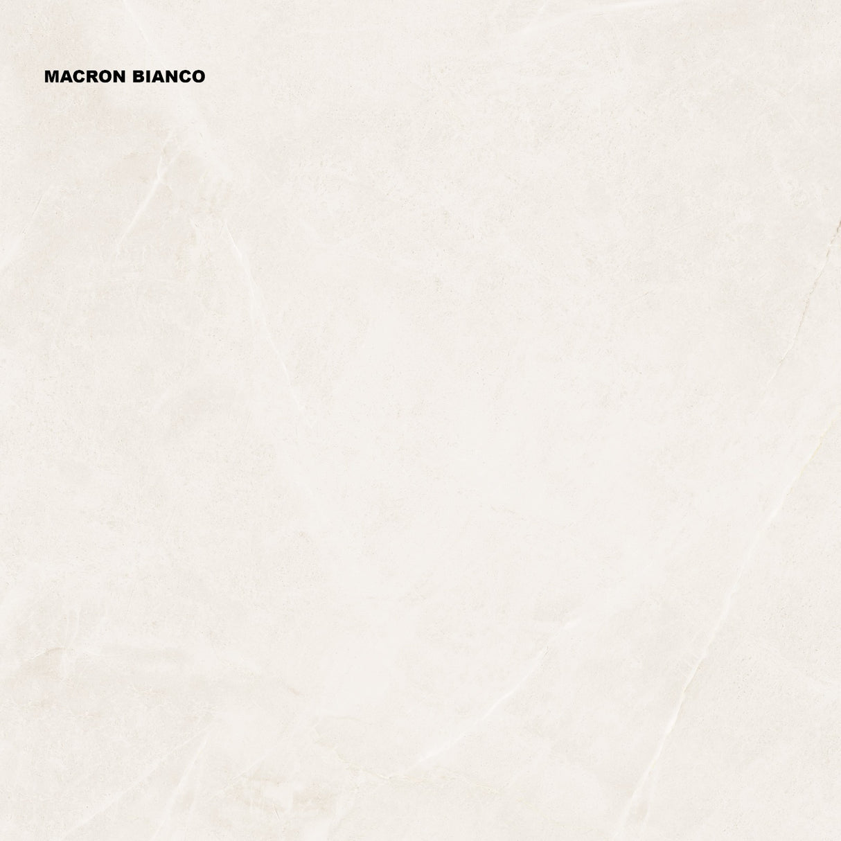 Tile-Macaroni Bianco Endless
