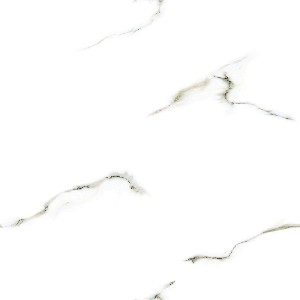 Tile 2525 Matt 60x60