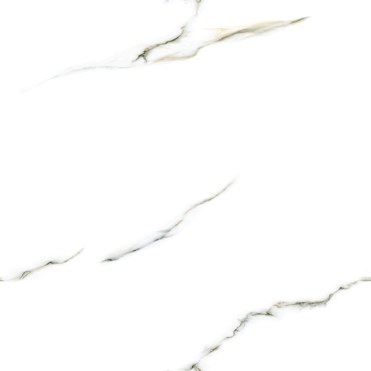 Tile 2525 Matt 60x60