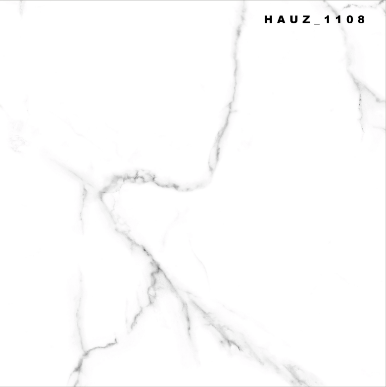 Tile Hauz-1108 60x60