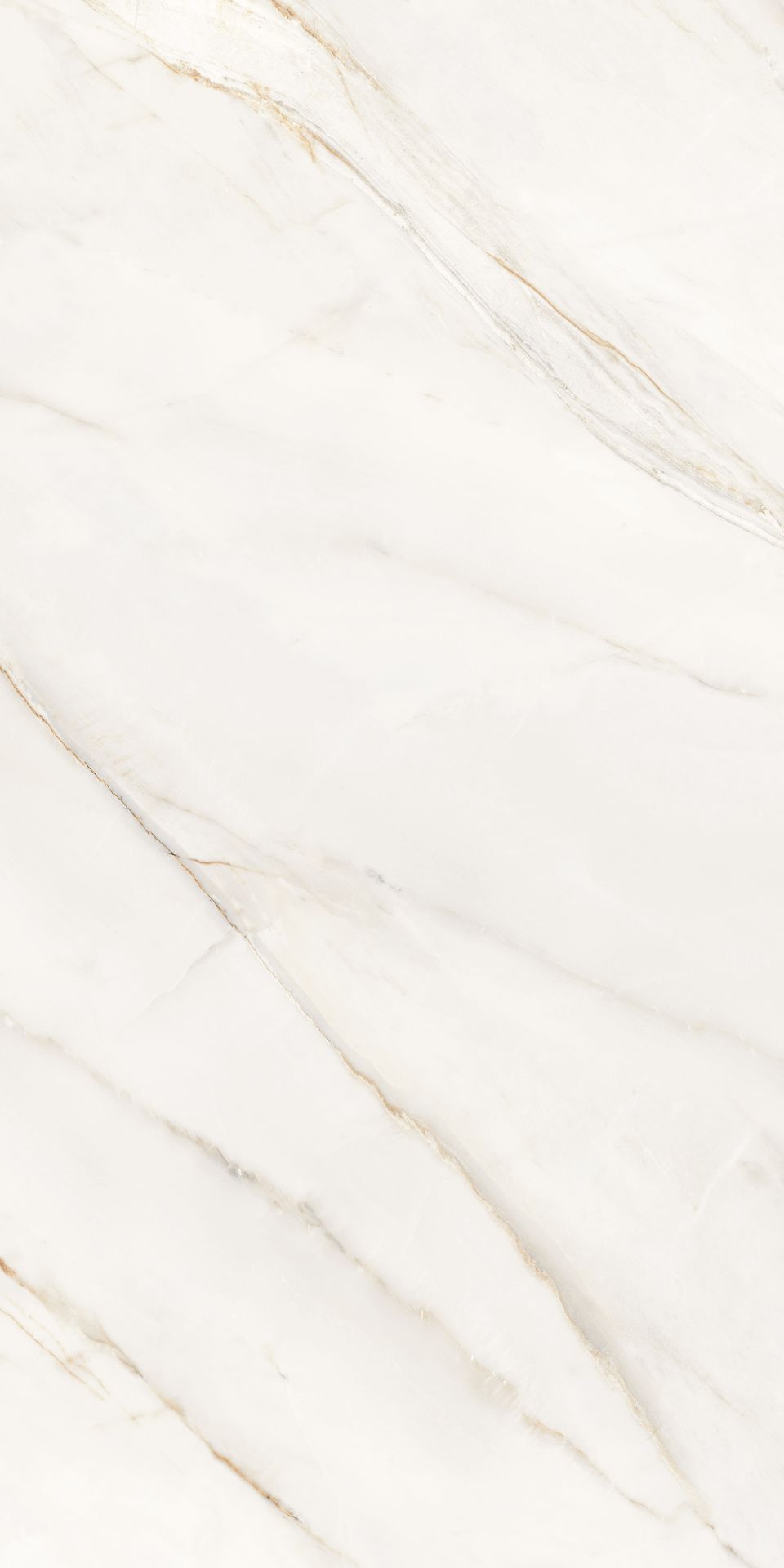 Polished Glazed Tile