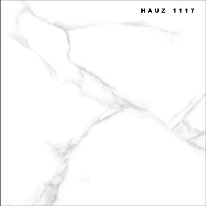 Tile Hauz-1117 60x60