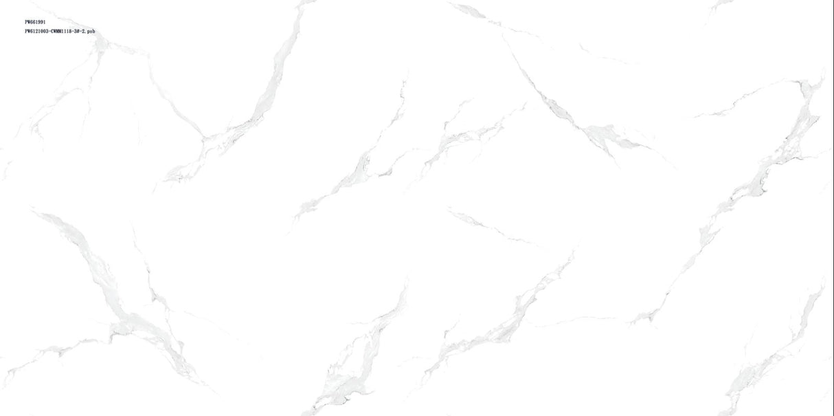 Tile PW661991 Glossy 60x60