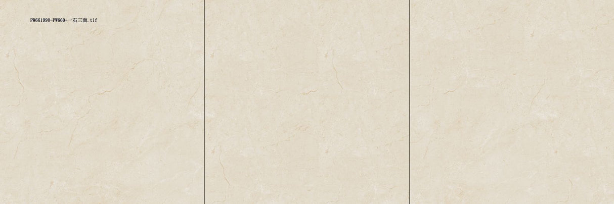 Tile PW661990 Glossy 60x60