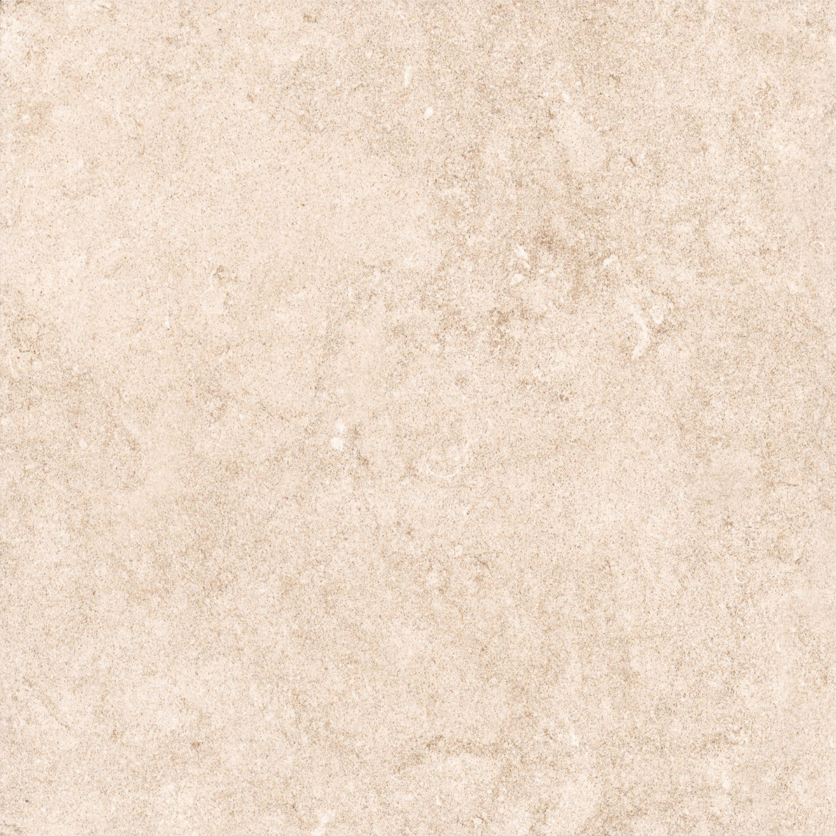 300x300 Dylan (2332726/B)