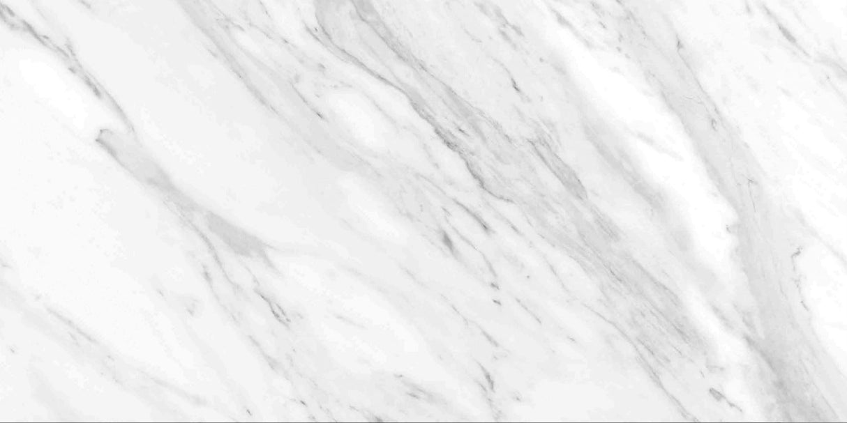 North White Gloss 491×982 Tile