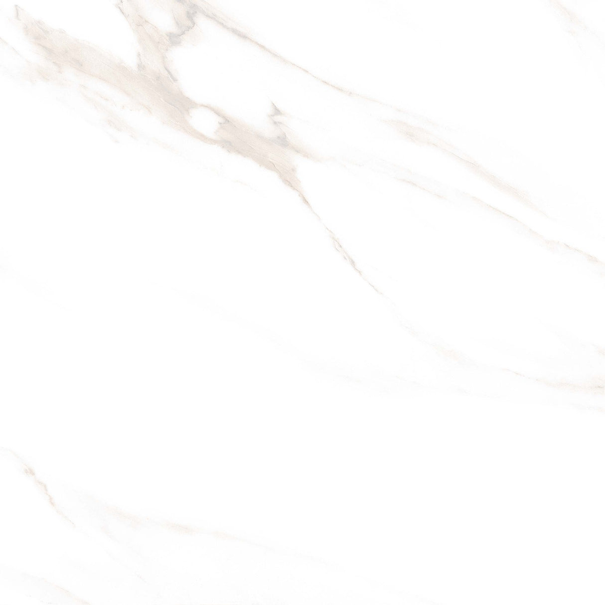 Tile 5001 Glossy 60x60