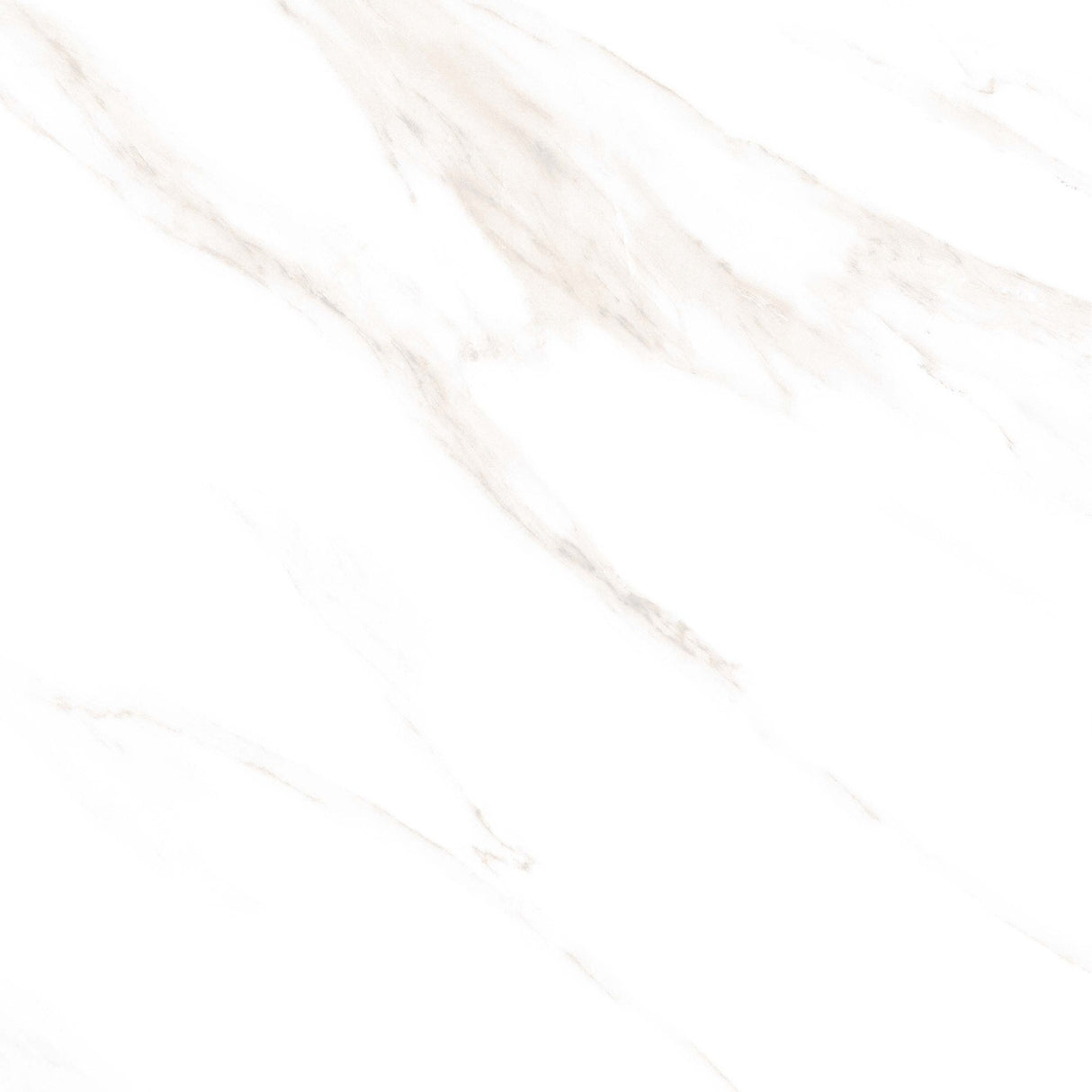 Tile 5001 Glossy 60x60