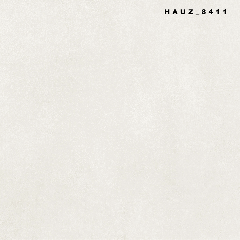 Tile Hauz-8411 60x60