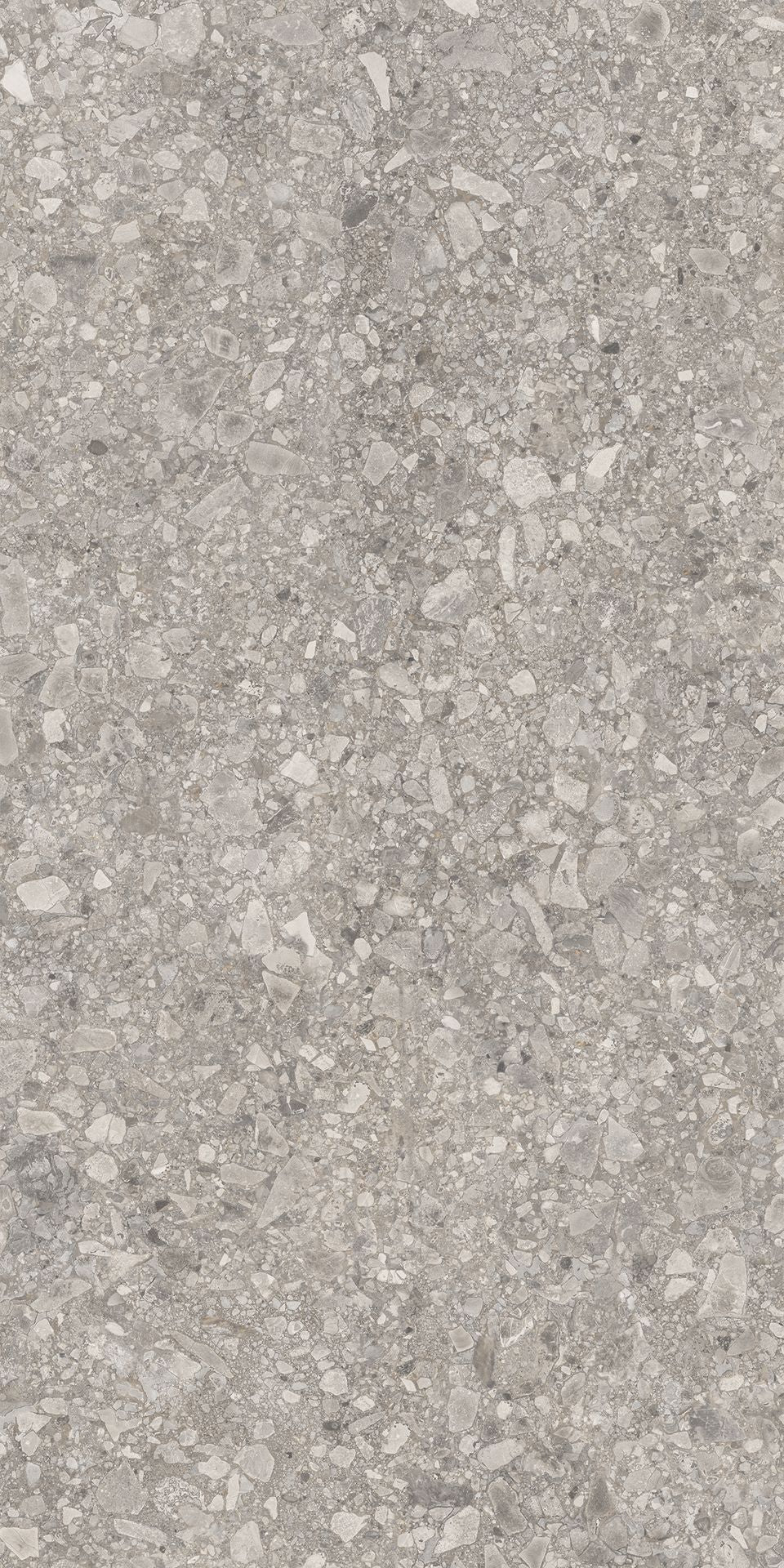 1200*600 Tegza Grey Matt (2,1.44)